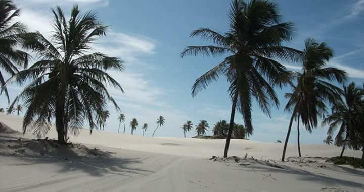 فندق Pousada Asa Branca Mangue Sêco المظهر الخارجي الصورة